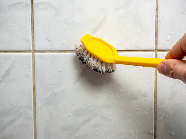 Best Local Mold Removal Service  in West Whittier Los Nietos, CA