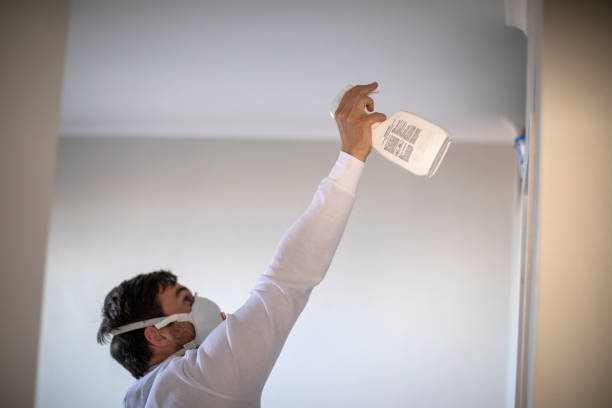  West Whittier Los Nietos, CA Mold Removal Pros