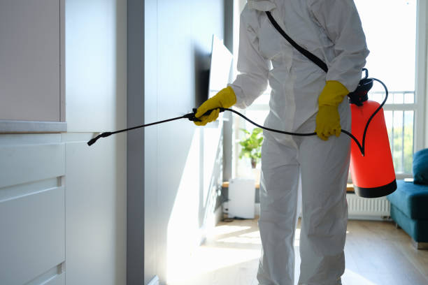 Best Emergency Mold Removal  in West Whittier Los Nietos, CA