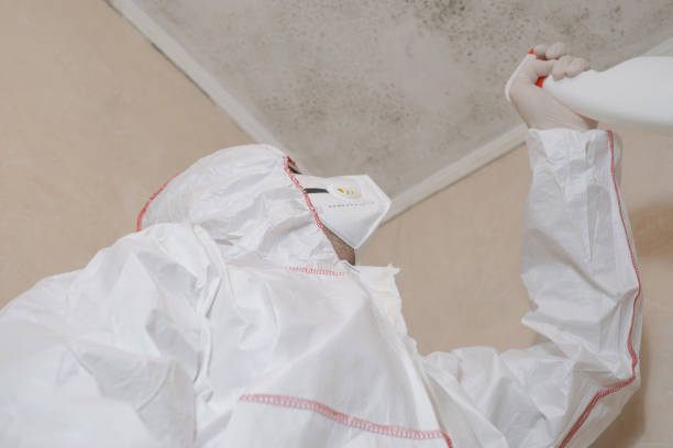 Best Best Mold Removal Companies  in West Whittier Los Nietos, CA